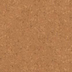 Kork-Fertigparkett WICANDERS cork Go | Captivation