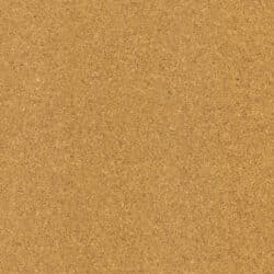 Kork-Fertigparkett WICANDERS cork Go | Moment