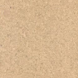 Kork-Fertigparkett WICANDERS cork Go | Ambition