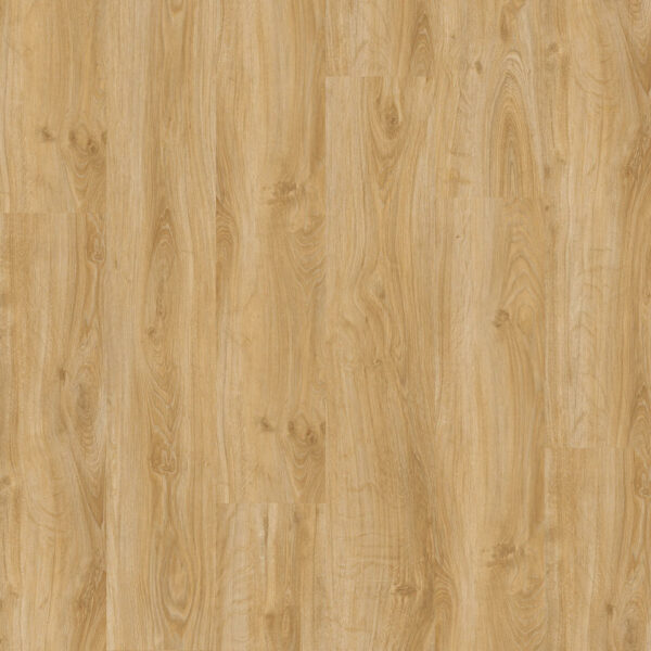 Click Compact Classic | English Oak Classical 30