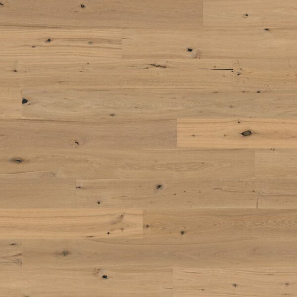 Woodbase Eiche Basel