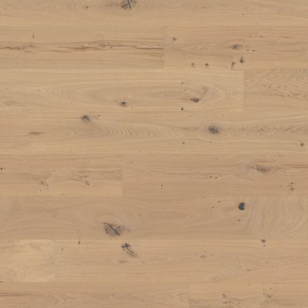 Woodbase Eiche Tessin