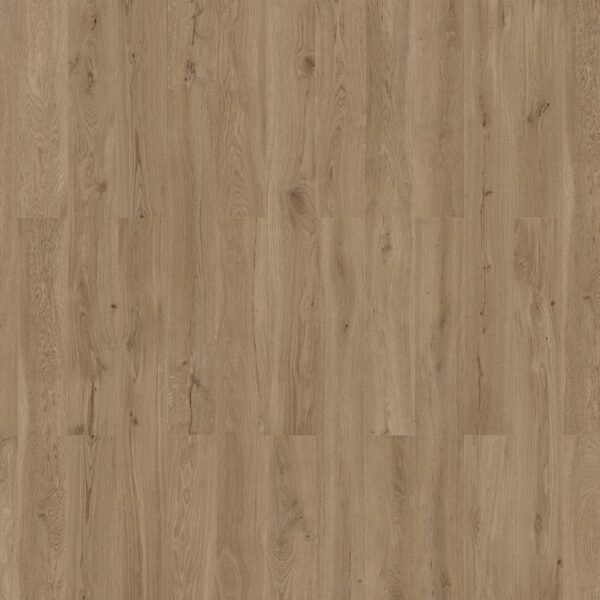 WICANDERS WISE wood inspire natural | Dakota Oak