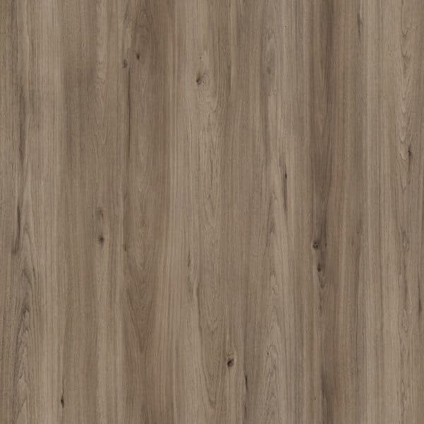 WICANDERS WISE wood pro | Quartz Oak